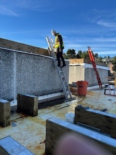 architect inspects roof progress